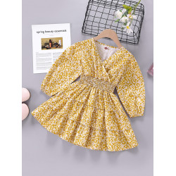 Toddler Girls Ditsy Floral Shirred Ruffle Hem Dress